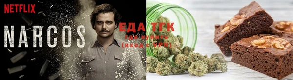 дживик Абаза