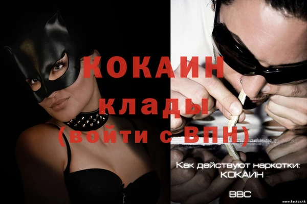 индика Абинск