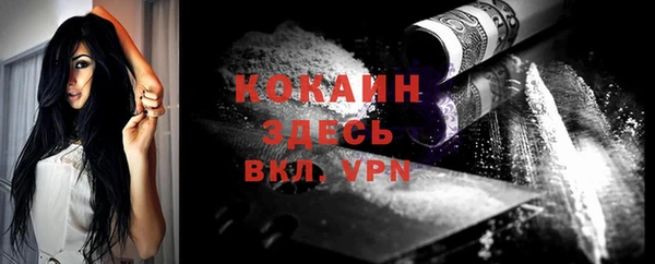 индика Абинск