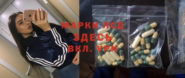 индика Абинск