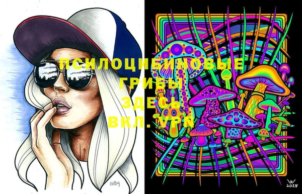 индика Абинск