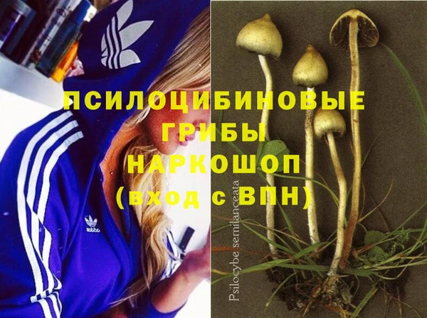дживик Абаза