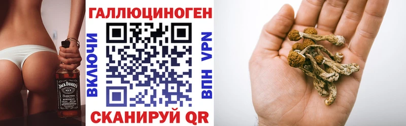 Псилоцибиновые грибы мицелий  Камызяк 