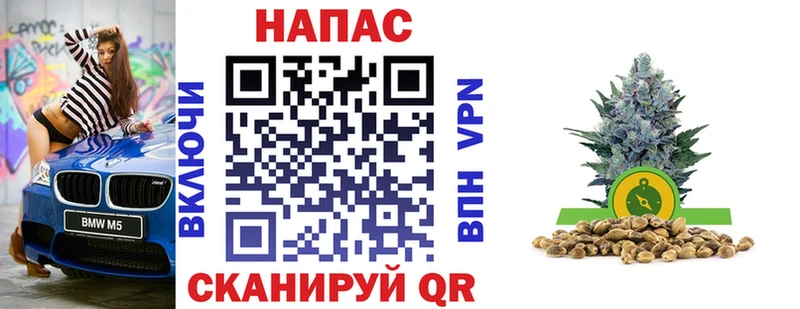 купить наркотики сайты Камызяк МАРИХУАНА индика
